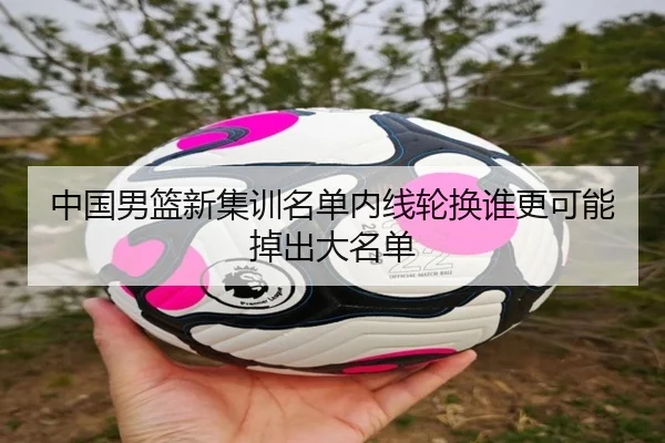 img_1784226581407_1043_2_906.jpg
